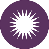 icon of a sunburst