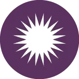 icon-1